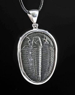 Fossilized Trilobite in Silver Pendant