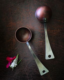 Stainless Coffee Scoop