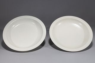 Pair of Chinese Kangxi Style Porcelain Dishes