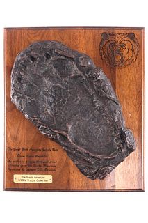 1988 D.D. Edwards North American Grizzly Paw Print