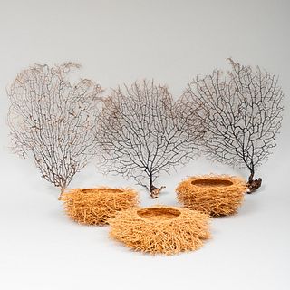 Three Decorative 'Bird Nest' Baskets and Three Sea Fans