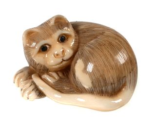 Japanese Carved Ivory Cat Netsuke Signed