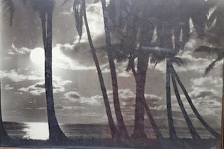 Framed California Coastal Print Signed 'Mattingly'
