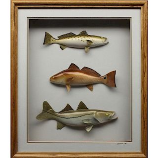 Modern Framed Fish Wall Display