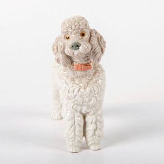Poodle 1974/1985 1001259 - Lladro Porcelain Figurine