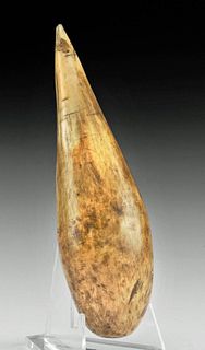 19th C. Inuit Walrus Ivory Pinniped Form Awl