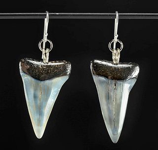 Wearable Fossilized Shark Tooth Earrings (pr)