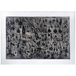SERGIO HERNÁNDEZ, Untitled, Signed, Engraving 6 / 20, 43.3 x 31.4" (110 x 80 cm) | SERGIO HERNÁNDEZ, Sin título, Firmado Grabado 6 / 20, 110 x 80 cm