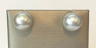Fine 12.1mm White South Sea Pearl Earrings, 14k White Gold Posts and Backs