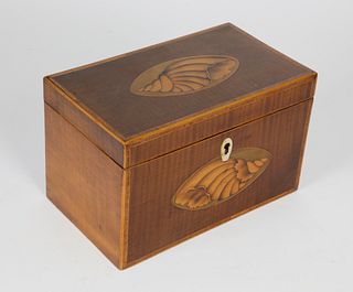 British Regency Double Compartment Conch Shell Inlaid Tea Caddy, 19th Century