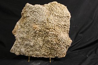 HUGE DOGTOOTH CALCITE PLATE