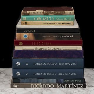 Libros sobre pintores.Ricardo Martínez / Alfredo Zalce / Julio Galán / Santiago Carbonell / El Paisajista José María Velasco. Pzs: 13.