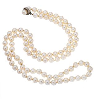 Collar de perlas con broche en plata .925. 93 perla cultivadas color blanco de 8 mm. Peso: 61.5 g.