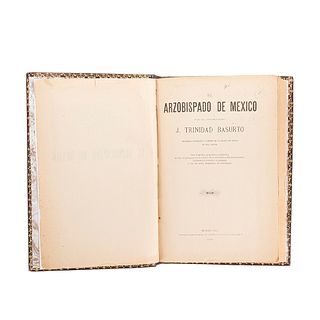 Basurto, J. Trinidad. El Arzobispado de México. México: Talleres Tipográficos de El Tiempo, 1901.  25 láminas, dos cartas geográficas.
