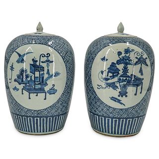 (2 Pc) Chinese Qing Dynasty Blue & White Porcelain Ginger Jars with