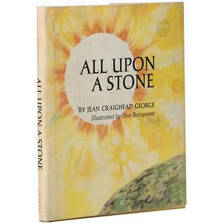 All Upon A Stone by Jean Craighead George