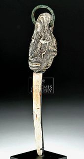 Incredible Maya Bloodletting Tool - Fossilized Wood