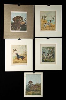 Five Antique American & European Hunting Dog Prints