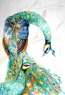 Green Peacock