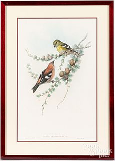 Two Gould & Richter color lithographs