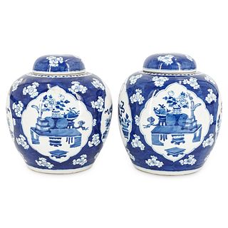 Pair of Chinese Blue & White Porcelain Ginger Jars