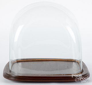 Large glass dome