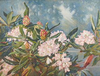 FRANK CONVERS MATHEWSON, (American, 1862-1941), Rhododendrons, 1924, gouache on artists board, 18 x 24 in., frame: 22 1/2 x 28 1/4 in.