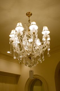Frosted glass Chandelier w/clear prisms 9 lights