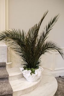 A pair (2)of Fiberglass planters with preserved palms