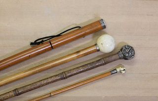 A group of four walking sticks,