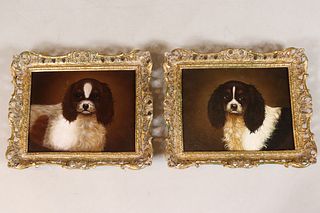 Pair of King Charles Spaniel Portraits