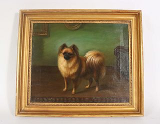 Henry Crowther, Pomeranian, Oil on Canvas