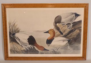 John James Audubon, 'Canvasback Duck'