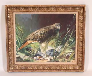 Frank Wootton, 'Red Tailed Hawk'