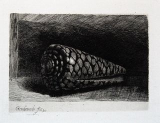 Rembrandt van Rijn (after) - The Shell