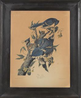 John James Audubon (1785-1851) Original Print