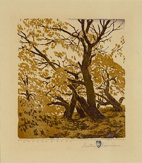 Gustave Baumann, Cottonwoods, 1927/1931