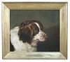 G W Miller of Bath (British, 19th Century) Study of a liver and white spaniel signed and dated lower