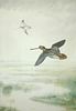 Philip Rickman (British, 1891-1982) Snipe over the marshes signed lower left "Phiip Rickman" and ins