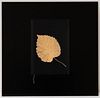 Debra Bloomfield, CODA- Gold Leaf, Union Prayer Book, 2021, archival pigment print on Hahnemuhle Baryta paper, 12 x 12 inches, AP 1/5