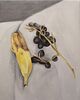 Jenna Kuiper, Grapes and Bananna, 2021 oil on canvas, 14 x 11 inches