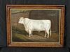 PRIZE COW OIL PAINTING