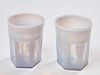 Pair of Opalescent Tumblers