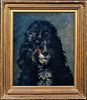 Portrait Of A Dog Poodle Oil Painting