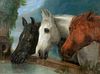 Portrait Of Three Horses Heads Oil Painting