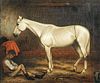 Portrait White Arabian Horse In Stable & Groom Oil