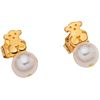 PAIR OF STUD EARRINGS WITH CULTURED PEARLS IN 18K YELLOW GOLD, TOUS Cream colored pearls, Weight: 1.9 g | PAR DE BROQUELES CON PERLAS CULTIVADAS EN OR