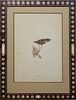John & Elisabeth Gould, "Brake Locustelle," c. 1832-1837, plate 103, colored print from "Birds of Europe," presented in a folk art bone inlaid wood fr