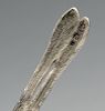 A nineteenth century Dutch silver pepper modelled as a long tailed bird with realistic feather decor