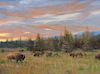 Roger Williams | b. 1954 | Yellowstone Evening